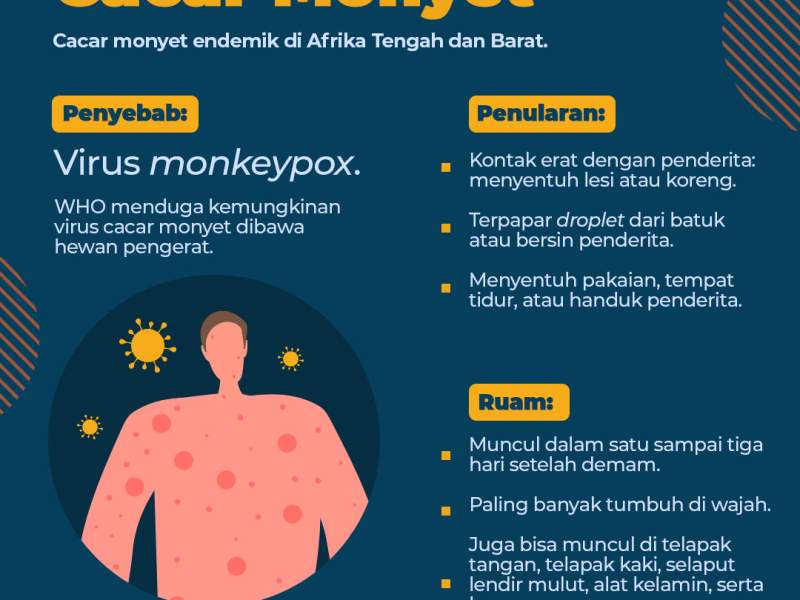 KENALI ASAL USUL PENYAKIT CACAR MONYET DAN PENCEGAHANNYA
